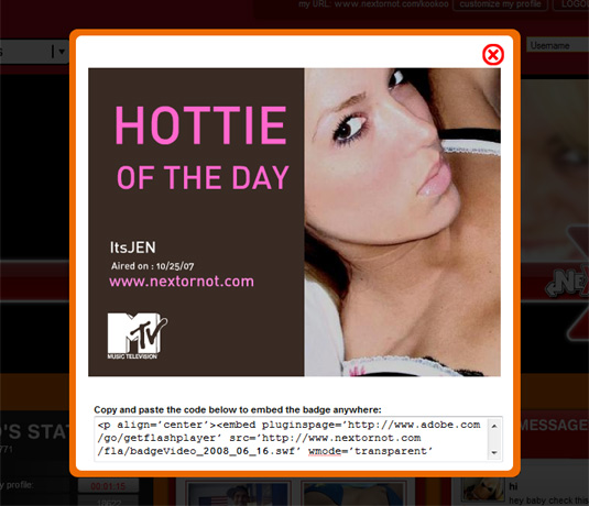 MTV Next Or Not Hottie of The Day Badge